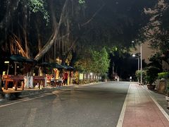 -仙岳公园