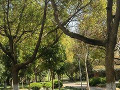 -七宝老街-闵行市民文化广场