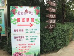 -北京张裕爱斐堡酒庄