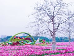 -海珠湖公园