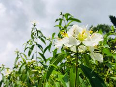 -广州雕塑公园