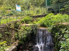 -藏龙百瀑风景区