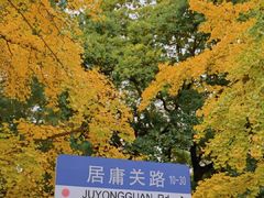 -八大关景区