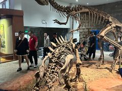 -自贡恐龙博物馆