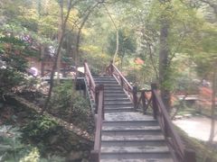 -天明山温泉大酒店