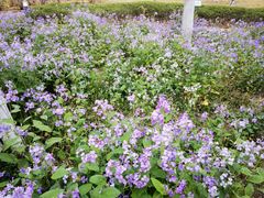-白塘生态植物园