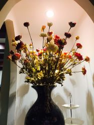 -源素美容养生会所