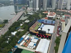 -新加坡瑞士史丹福酒店