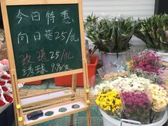 -溪岸路花鸟市场