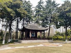 -梅园