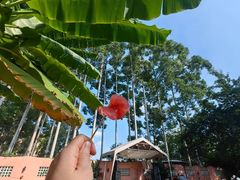 -大财·DA CAI花园餐厅.草坪婚礼.团建会议.围炉煮茶.求婚派对(三圣乡店)