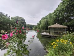 -无锡梅园公园
