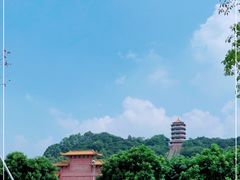 -福神岗公园