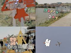 -空港花田景区