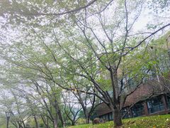 -浙江大学(玉泉校区)