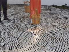 -羊亭河湿地公园