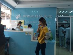 iphone_upload_pic-纳吉亚猫专科动物诊疗中心(蒋宅口分院)