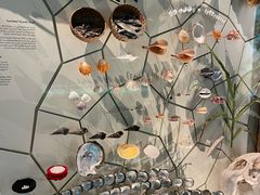 -扎耶德国家博物馆