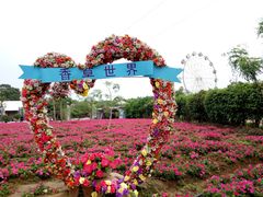 -广东花都香草世界旅游度假区