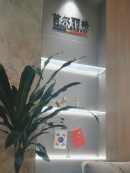 -上海首尔丽格医疗美容医院