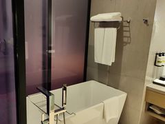 -南京禄口机场雅高铂尔曼大酒店