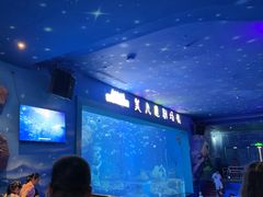 -多彩贵州城极地海洋世界