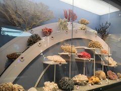 -中国湿地博物馆