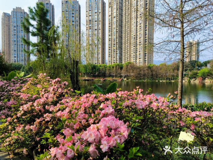 琴亭湖公园图片