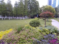-西北湖绿化广场