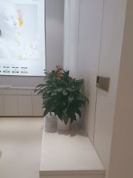 -禾丽康美医疗美容医院