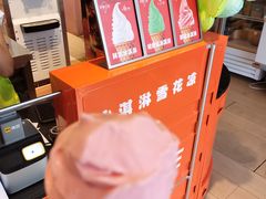 -萨朗刀克冰淇淋雪花凉(植物园店)