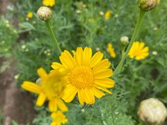 -白河湾山水缘民宿