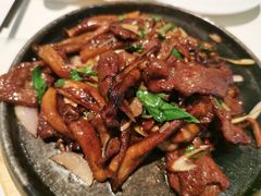 铁板金不换牛腱鹿茸菇-港丽餐厅(高德置地店)