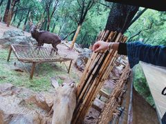 -昆明动物园