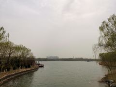 -大兴滨河森林公园