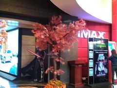-飞扬影城(正佳IMAX店)