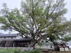 -江心屿景区