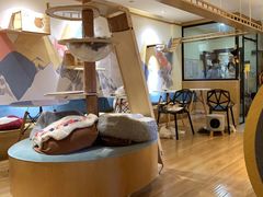 -滚猫咖啡·猫咖·猫友好撸猫(未来城店)