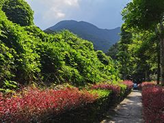 -福清灵石山国家森林公园