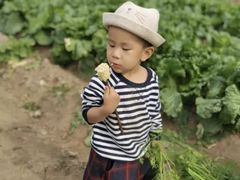 -安德鲁户外烧烤帐篷营地(马泉营店)