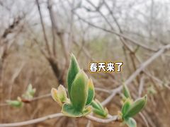 -门城湖公园