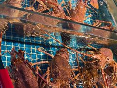 -驻海渔市(置信店)