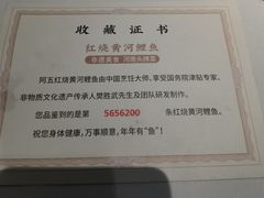 -阿五黄河大鲤鱼(纬三路店)