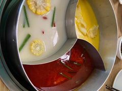 -青瓷火锅料理(西单大悦城店)