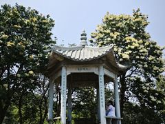 -北京鹫峰国家森林公园