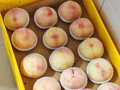 -老袁家蜜桃农场·阳山水蜜桃