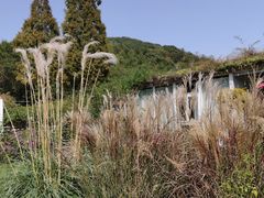 -上海月湖雕塑公园