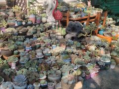 -杨厝六十六农庄农舍(杨厝路店)