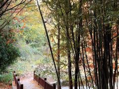 -河南省黄河迎宾馆