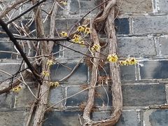 -南京市民俗博物馆(甘熙故居)